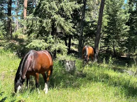 9399 Granzella Rd, Morrison, CO 80465 photo 41
