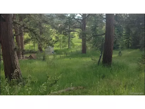 9399 Granzella Rd, Morrison, CO 80465 photo 38