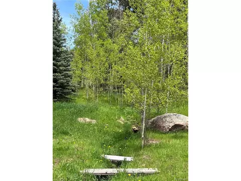 9399 Granzella Rd, Morrison, CO 80465 photo 37