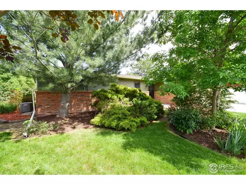 818 Locust St, Windsor, CO 80550 photo 22