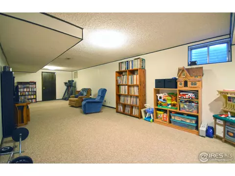 818 Locust St, Windsor, CO 80550 photo 17
