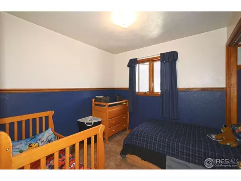 818 Locust St, Windsor, CO 80550 photo 14