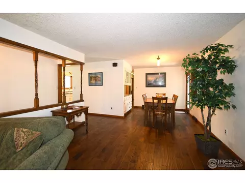 818 Locust St, Windsor, CO 80550 photo 3