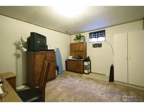 818 Locust St, Windsor, CO 80550 photo 16