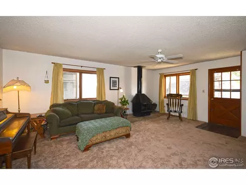 818 Locust St, Windsor, CO 80550 photo 11