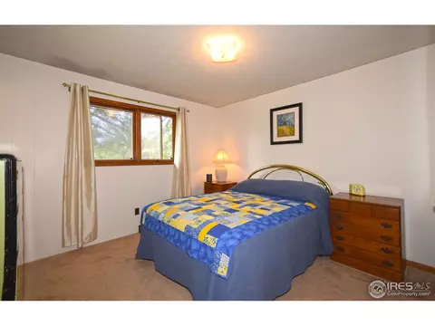 818 Locust St, Windsor, CO 80550 photo 15
