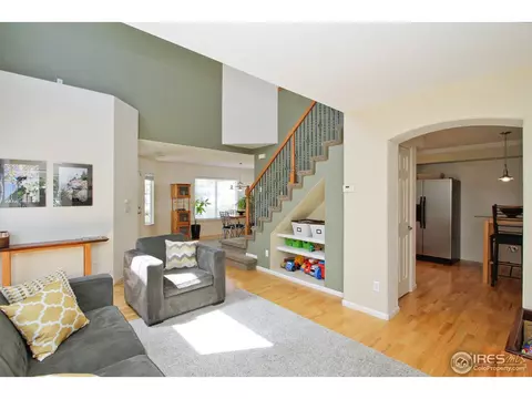 11808 Zenobia Loop, Westminster, CO 80031 photo 12