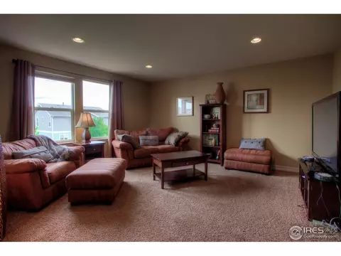 4229 Windmill Dr, Brighton, CO 80601 photo 12