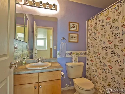 7223 Prairie Cir, Frederick, CO 80504 photo 17