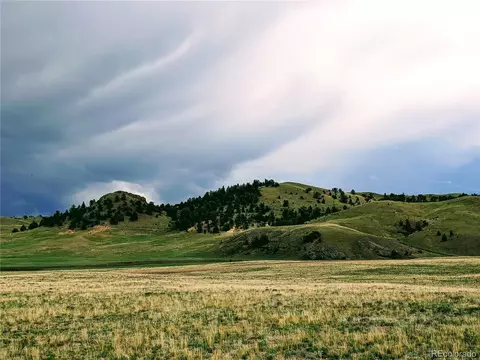 2667 Cahokia Rd, Hartsel, CO 80449