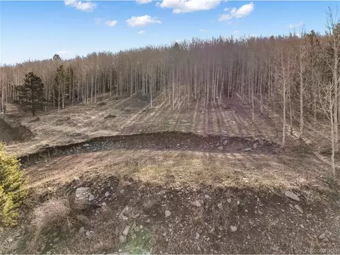 690 Anges Dr, Cripple Creek, CO 80813
