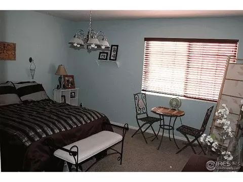 5234 Perth Ct, Denver, CO 80249 photo 5