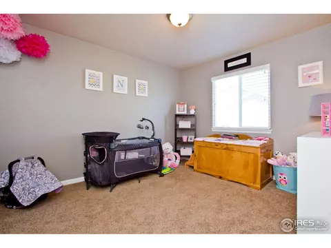 1357 Windjammer Dr, Windsor, CO 80550 photo 19