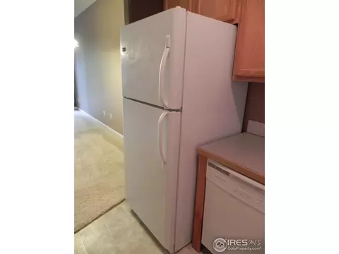 381 Buffalo Dr #E, Windsor, CO 80550 photo 19