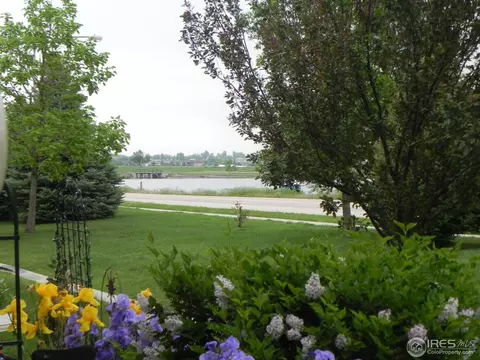 381 Buffalo Dr #E, Windsor, CO 80550 photo 3