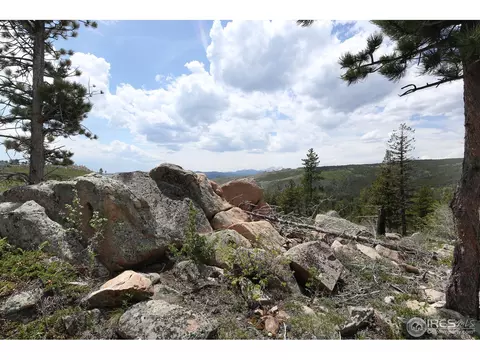 985 Meadows Dr, Drake, CO 80515 photo 15