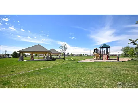 827 Bluegrass Way, Windsor, CO 80550 photo 25