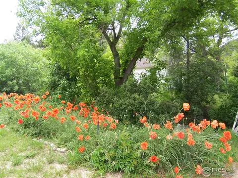 27 Silver Spruce, Boulder, CO 80302 photo 15