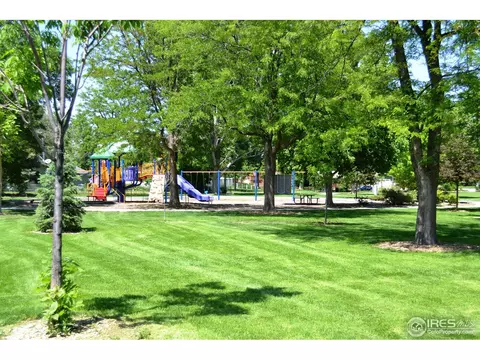 5 Spruce Ct, Windsor, CO 80550 photo 24