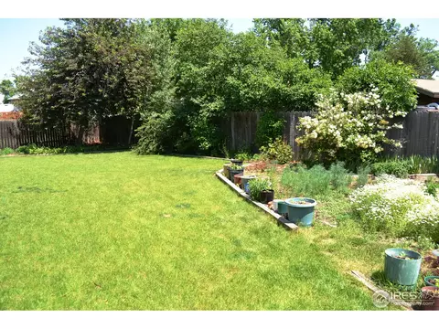 5 Spruce Ct, Windsor, CO 80550 photo 20