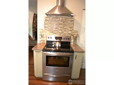 5 Spruce Ct, Windsor, CO 80550 photo 7