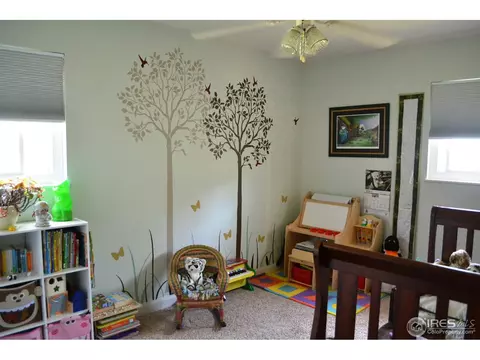 5 Spruce Ct, Windsor, CO 80550 photo 11