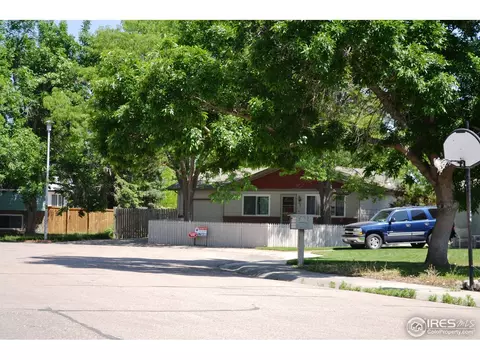 5 Spruce Ct, Windsor, CO 80550 photo 23