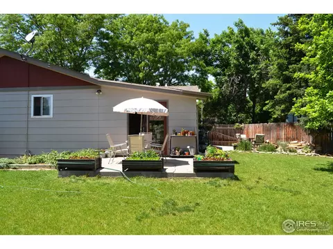 5 Spruce Ct, Windsor, CO 80550 photo 15