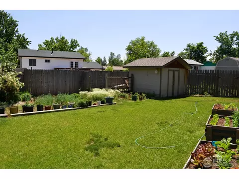 5 Spruce Ct, Windsor, CO 80550 photo 16