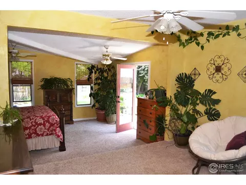 5 Spruce Ct, Windsor, CO 80550 photo 9