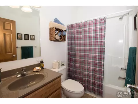 227 Cree Ct, Lyons, CO 80540 photo 10