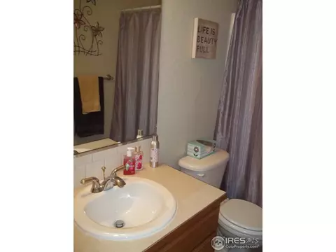 1317 Fairfield Ave, Windsor, CO 80550 photo 16