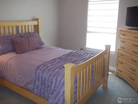 1317 Fairfield Ave, Windsor, CO 80550 photo 15