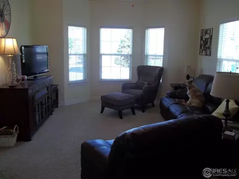 1317 Fairfield Ave, Windsor, CO 80550 photo 6