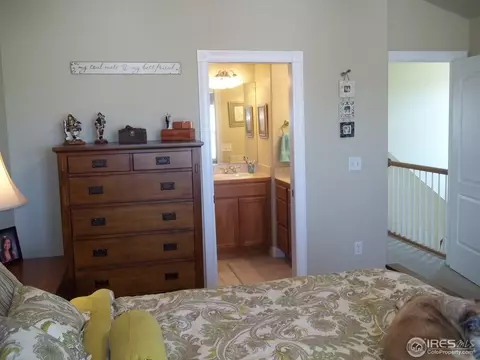 1317 Fairfield Ave, Windsor, CO 80550 photo 14