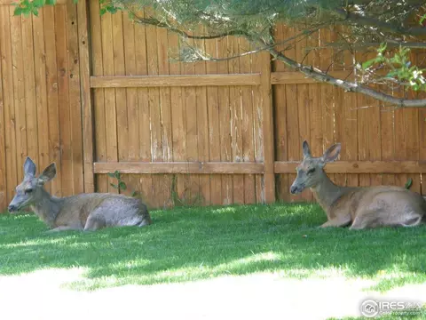 910 Quince Ave, Boulder, CO 80304 photo 25