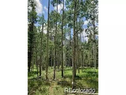 4 8th St, Jasper, CO 81132 photo 2