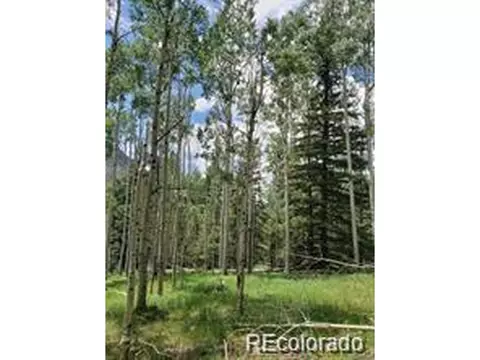 4 8th St, Jasper, CO 81132 photo 3