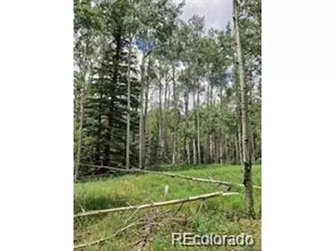 4 8th St, Jasper, CO 81132 photo 4