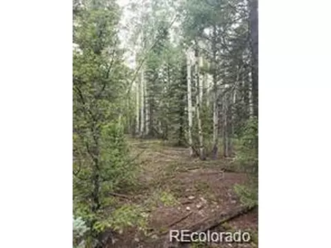 4 8th St, Jasper, CO 81132
