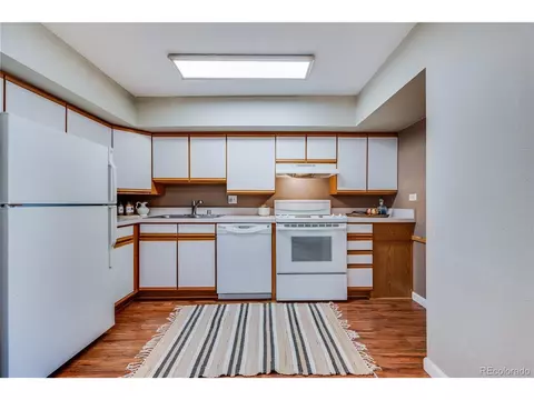 1029 E 8th Ave #801, Denver, CO 80218 photo 8