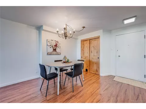1029 E 8th Ave #801, Denver, CO 80218 photo 6