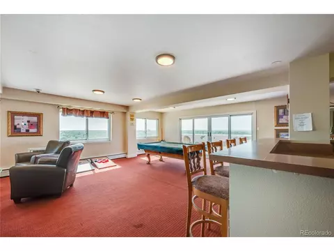 1029 E 8th Ave #801, Denver, CO 80218 photo 20