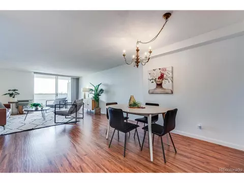 1029 E 8th Ave #801, Denver, CO 80218 photo 5