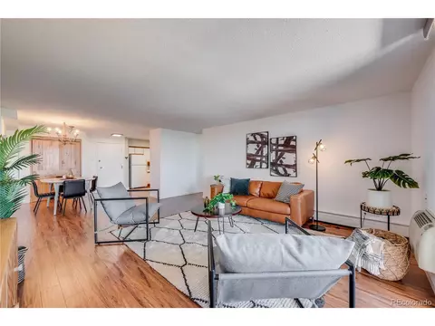 1029 E 8th Ave #801, Denver, CO 80218 photo 1