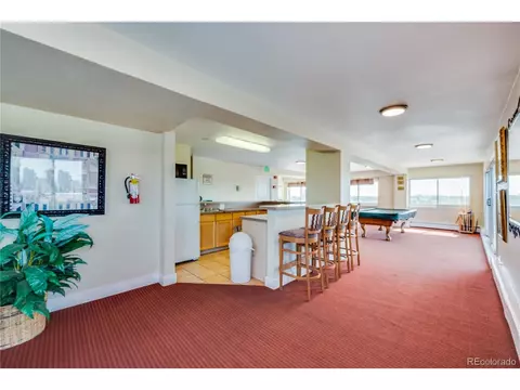 1029 E 8th Ave #801, Denver, CO 80218 photo 21