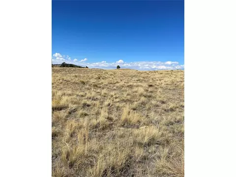 Undisclosed, Florissant, CO 80816