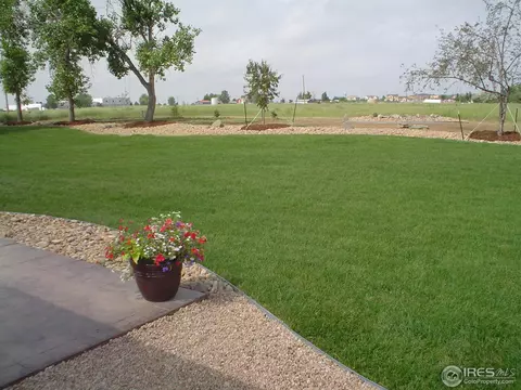 9231 Apache Rd, Longmont, CO 80504 photo 19
