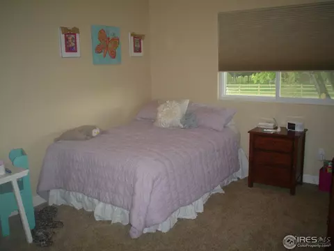 9231 Apache Rd, Longmont, CO 80504 photo 15