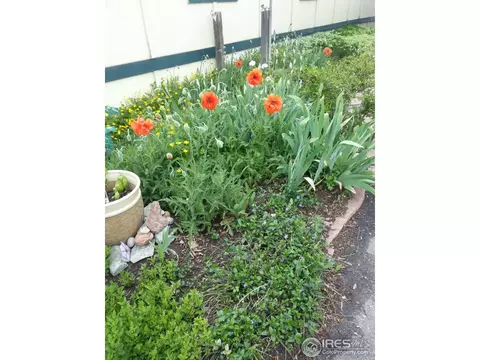 5505 Valmont Rd #23, Boulder, CO 80301 photo 1